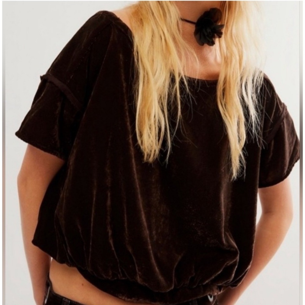Free People Brown Velvet Crop Top XS Short Sleeve‎ Blouse Boho Festival Earth